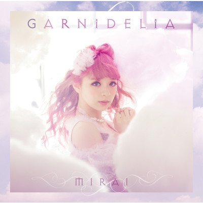 シングル/MIRAI (instrumental)/GARNiDELiA
