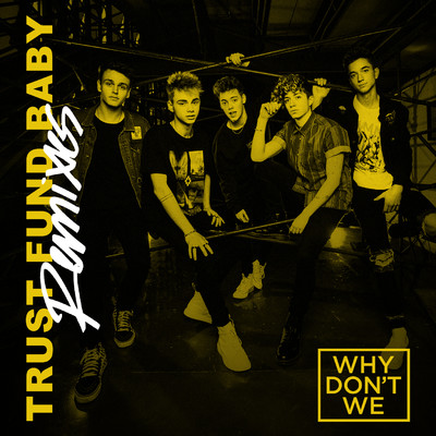 Trust Fund Baby (The White Panda Remix)/Why Don't We