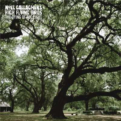 アルバム/ザ・ダイイング・オブ・ザ・ライト/Noel Gallagher's High Flying Birds