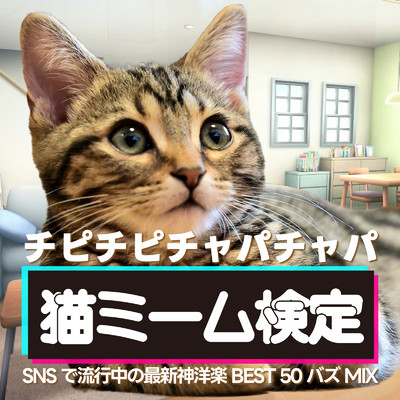 チピチピチャパチャパ 猫ミーム検定〜SNSで流行中の最新神洋楽 BEST 50 バズMIX〜 (DJ MIX)/DJ NOORI