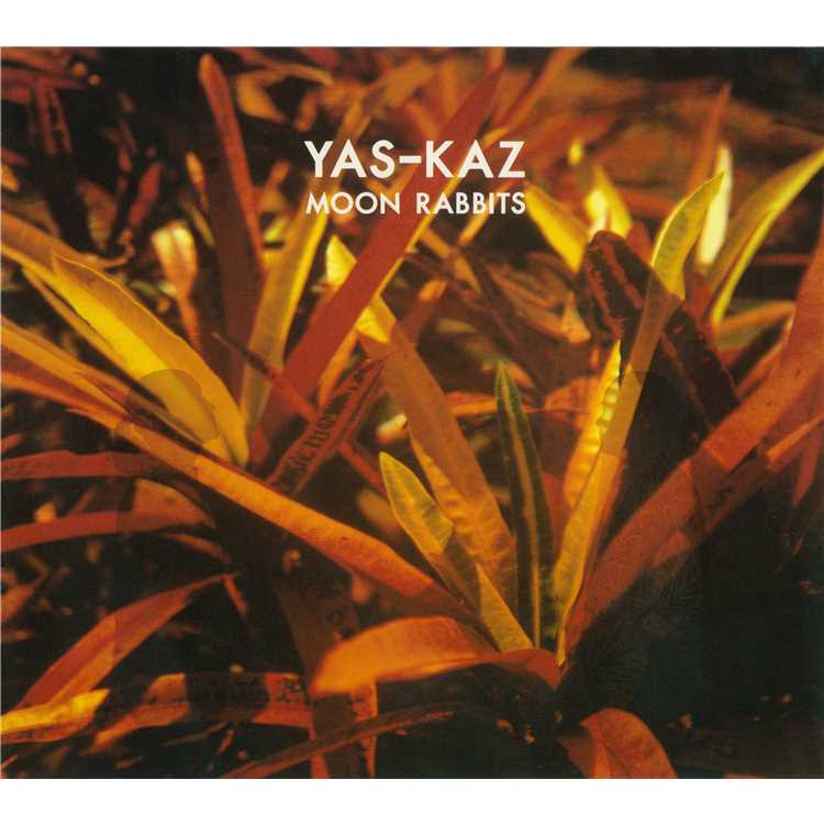 MOON RABBITS/YAS-KAZ 収録アルバム『MOON RABBITS』 試聴・音楽ダウンロード 【mysound】