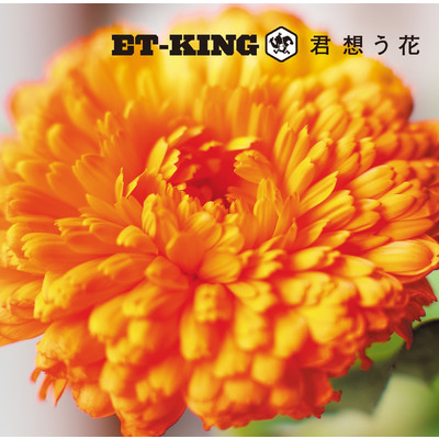 アルバム/君想う花/ET-KING