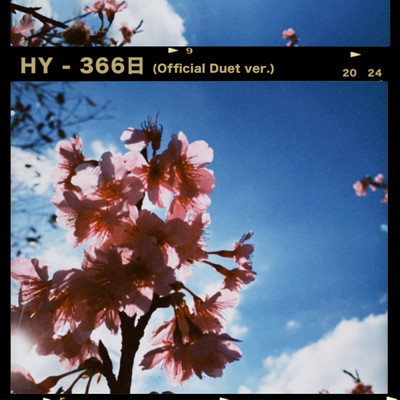 シングル/366日 (Official Duet ver.)/HY