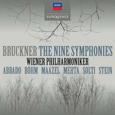 Bruckner: Symphony No. 9 in D Minor, WAB 109 - Bruckner: 1. Feierlich. Misterioso [Symphony No. 9 In D Minor, WAB 109]/ウィーン・フィルハーモニー管弦楽団／ズービン・メータ