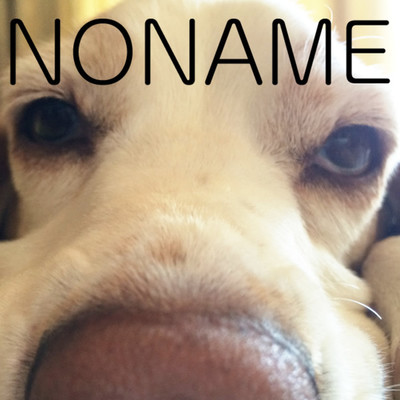 シングル/NONAME-SOUL/NO NAME