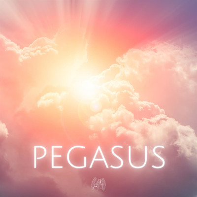 シングル/Pegasus Meteoro/Pegasus