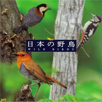 アルバム/＜COLEZO！＞ 自然音 日本の野鳥/Victor Sound Effect Team