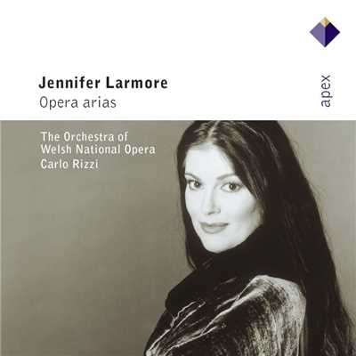 アルバム/Opera Arias [Call Me Mister]  -  Apex/Jennifer Larmore