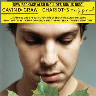 シングル/I Don't Want to Be/Gavin DeGraw