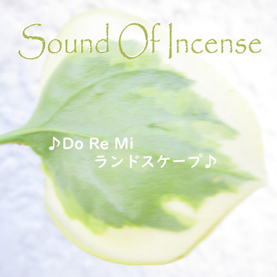 アルバム/Do Re Mi ランドスケープ/Sound Of Incense