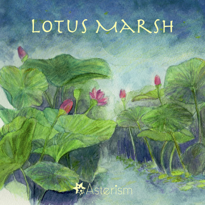 Lotus Marsh/Asterism