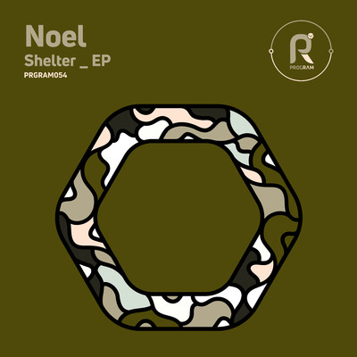 アルバム/Shelter EP/Noel
