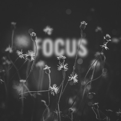 Focus feat.Lena Leon/Deorro