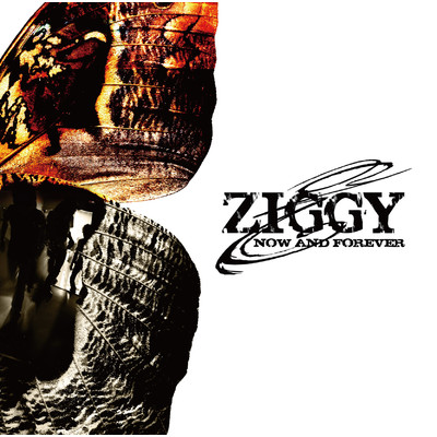 Johnny Lightning/ZIGGY