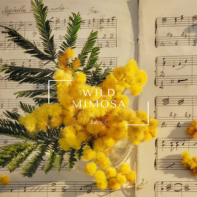 シングル/Wild Mimosa/Catty.L