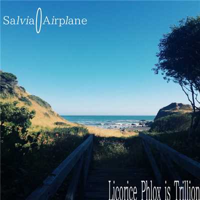 The Starleaf Perilla Ocean/Licorice Phlox is Trillion