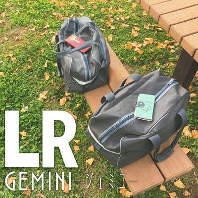 シングル/LR/Gemini