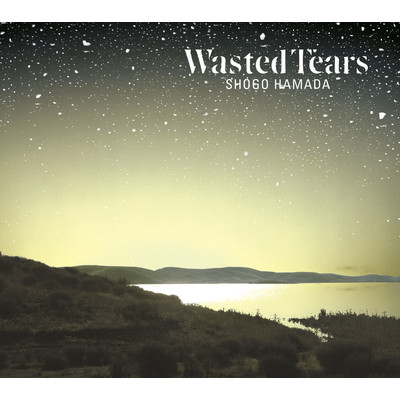 WASTED TEARS/浜田 省吾