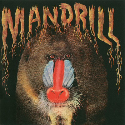 アルバム/Mandrill/マンドリル