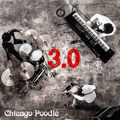 アルバム/3.0/Chicago Poodle