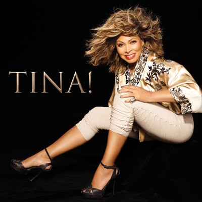 シングル/What You Get Is What You See/Tina Turner