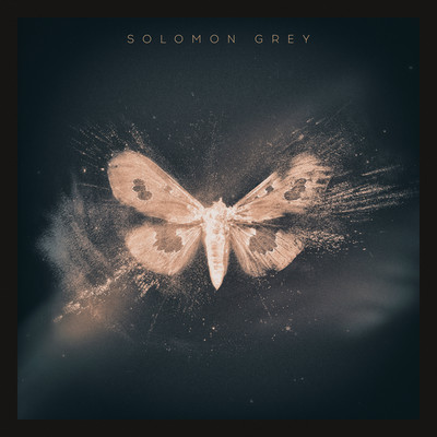 アルバム/Solomon Grey/Solomon Grey