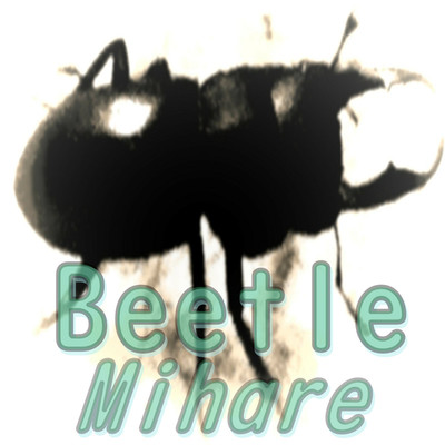 アルバム/Beetle/ミハレ