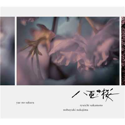 アルバム/NHK大河ドラマ「八重の桜」オリジナル・サウンドトラック II/坂本龍一 | 中島ノブユキ