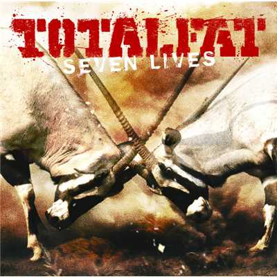 Wait For The Song/TOTALFAT
