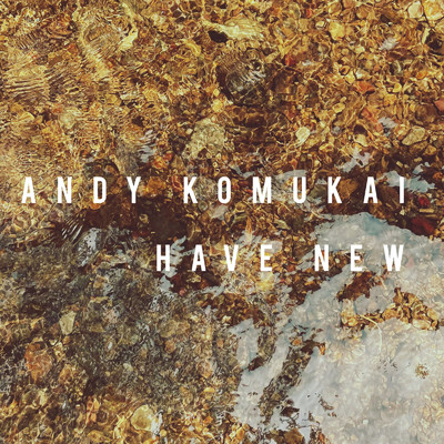 アルバム/HAVE NEW/ANDY KOMUKAI