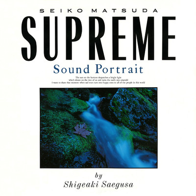 SEIKO MATSUDA SUPREME SOUND PORTRAIT BY SHIGEAKI SAEGUSA/三枝成彰