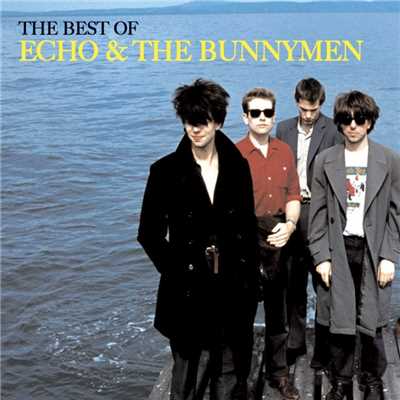 アルバム/The Best of Echo & The Bunnymen/エコー&ザ・バニーメン