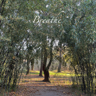 シングル/Breathe (Instrumental)/KANA