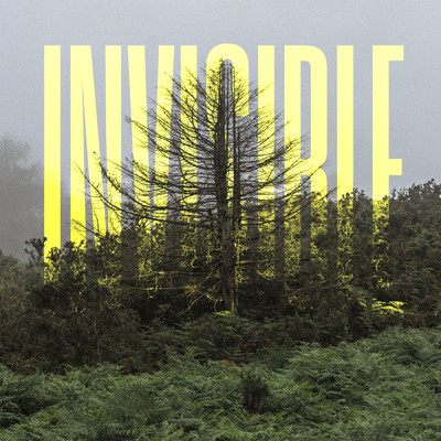 アルバム/The Invisible EP/オーラヴル・アルナルズ