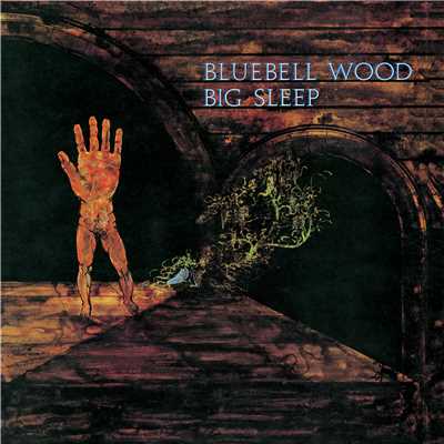 Bluebell Wood/Big Sleep