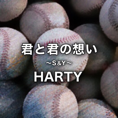 シングル/君と君の想い 〜S&Y〜/HARTY