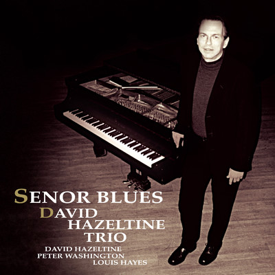 アルバム/Senor Blues/David Hazeltine Trio