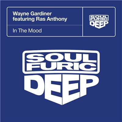In The Mood (feat. Ras Anthony) [DJ Tony V DJ Tool Mix]/Wayne Gardiner