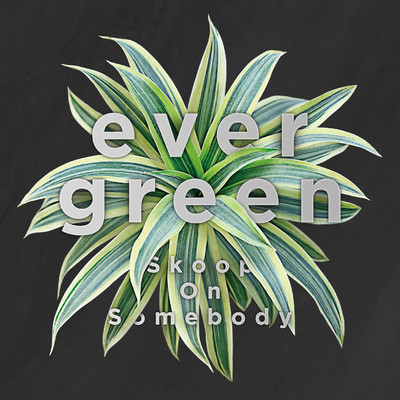 evergreen/Skoop On Somebody