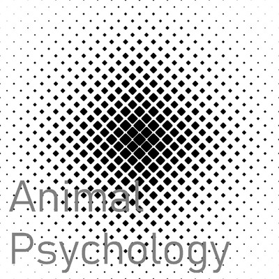 アルバム/Animal Psychology/Beryllium Baker