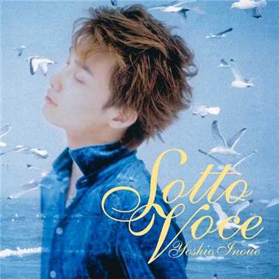 アルバム/SOTTO VOCE/井上芳雄