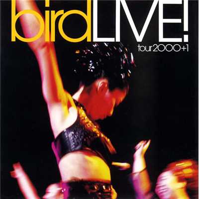アルバム/LIVE！ tour 2000+1/bird