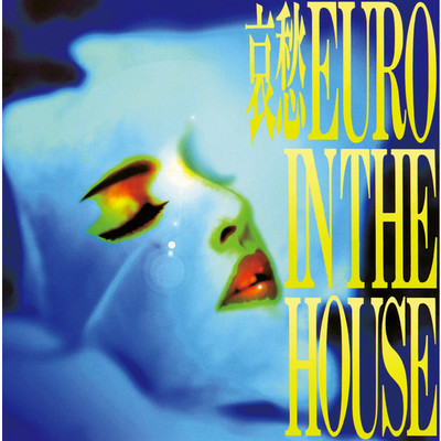 哀愁 EURO IN THE HOUSE/Various Artists