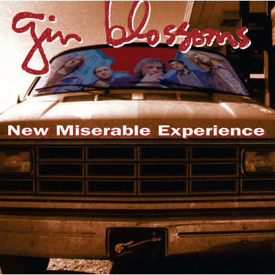 Hold Me Down/GIN BLOSSOMS