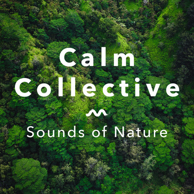 アルバム/Sounds Of Nature/Calm Collective