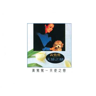 Mei Li De Tong Hua (Album Version)/Tracy Huang