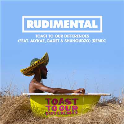 Toast to Our Differences (feat. Jaykae, Cadet & Shungudzo) [Remix]/Rudimental