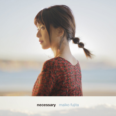 アルバム/necessary/藤田麻衣子