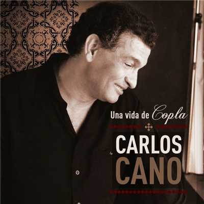アルバム/Una Vida De Copla/Carlos Cano