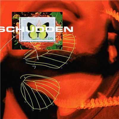 Schudden (Explicit) (featuring Cho)/Bokoesam